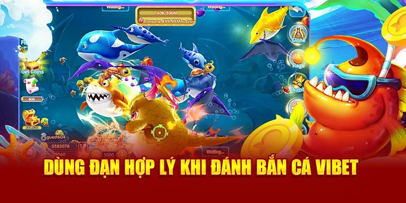 Dùng đạn hợp lý khi đánh Bắn Cá Vibet