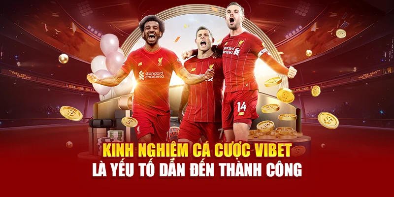 Kinh nghiệm cá cược Vibet là yếu tố dẫn đến thành công