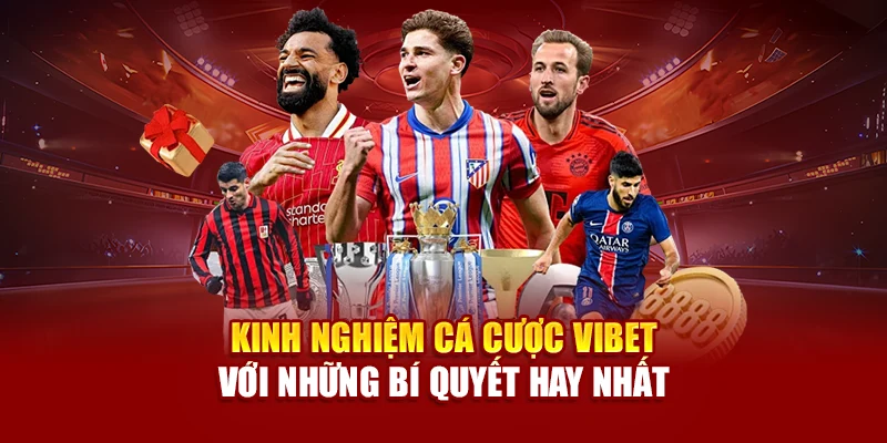 Kinh nghiệm cá cược Vibet với những bí quyết hay nhất