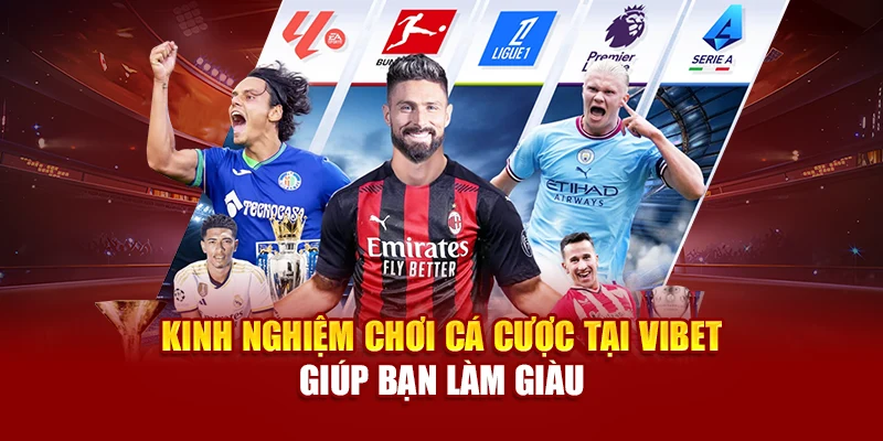 Kinh Nghiệm Chơi Cá Cược Tại Vibet Giúp Bạn Làm Giàu