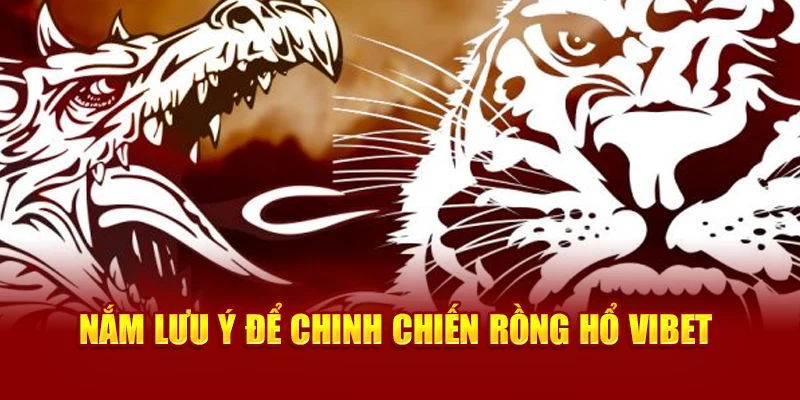 Nắm lưu ý để chinh chiến Rồng Hổ Vibet