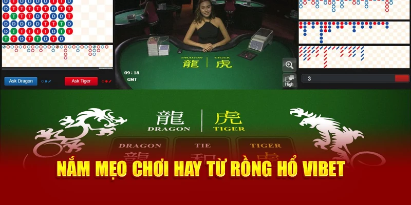 Nắm mẹo chơi hay từ Rồng Hổ Vibet