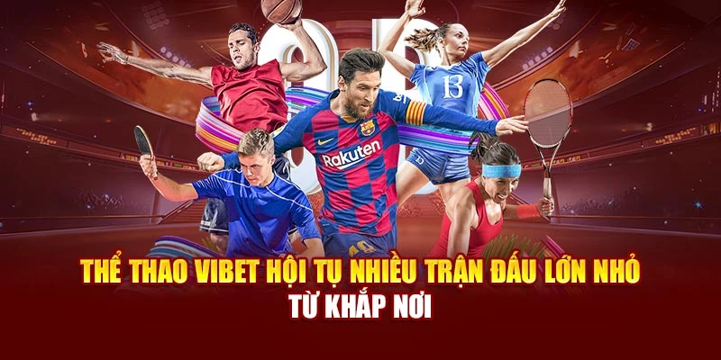 Thể thao Vibet hội tụ nhiều trận đấu lớn nhỏ từ khắp nơi